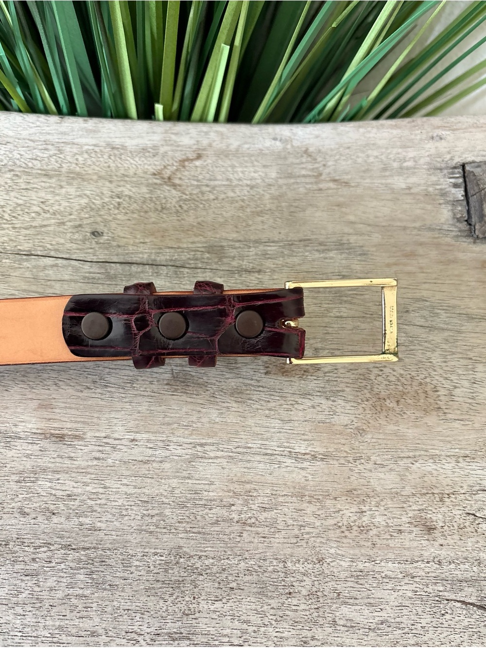 Crescent Wild Alligator Leather Belt with Gold Buckle - Picture 6 of 9